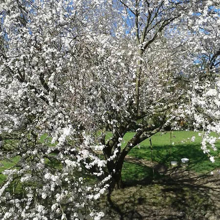 La Villanderie Дом отдыха