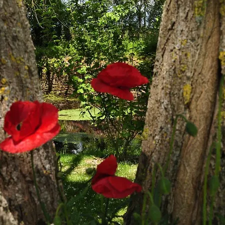 بيت للعطل La Villanderie La Folie (Calvados)