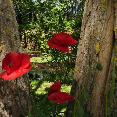 Дом отдыха La Villanderie La Folie (Calvados)