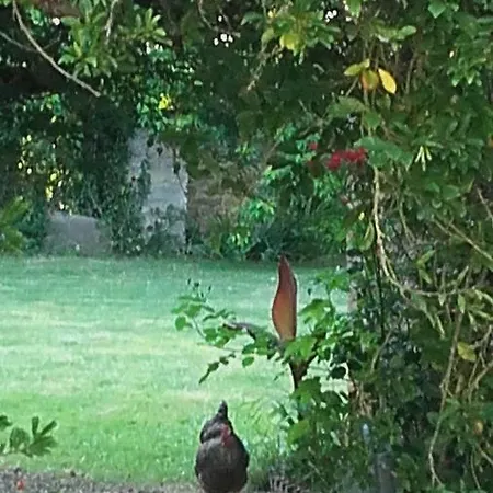 La Villanderie Hébergement de vacances La Folie (Calvados)