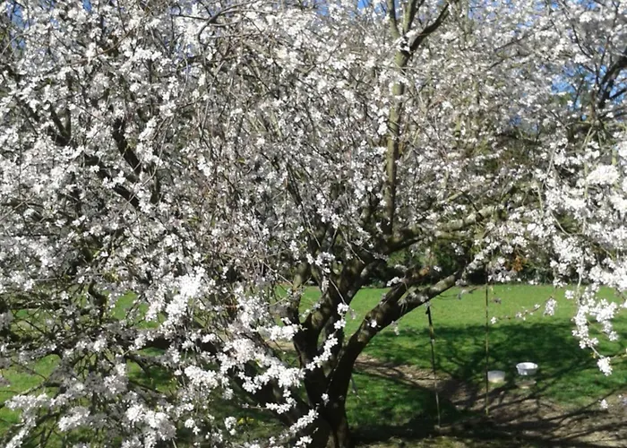 La Villanderie Hébergement de vacances