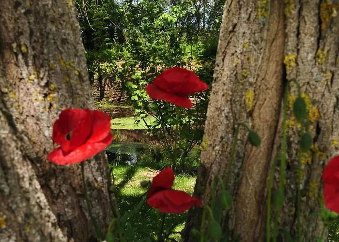 Hébergement de vacances La Villanderie La Folie (Calvados)