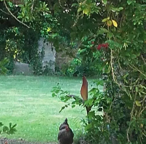 La Villanderie Hébergement de vacances La Folie (Calvados)